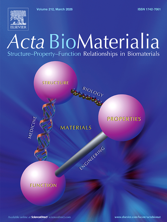 Acta_Bio_Mat_logo.jpg